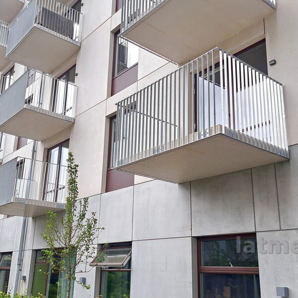 Cinkotas margas -  Norčepinga, Zviedrija